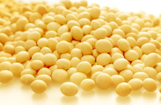 soybeans